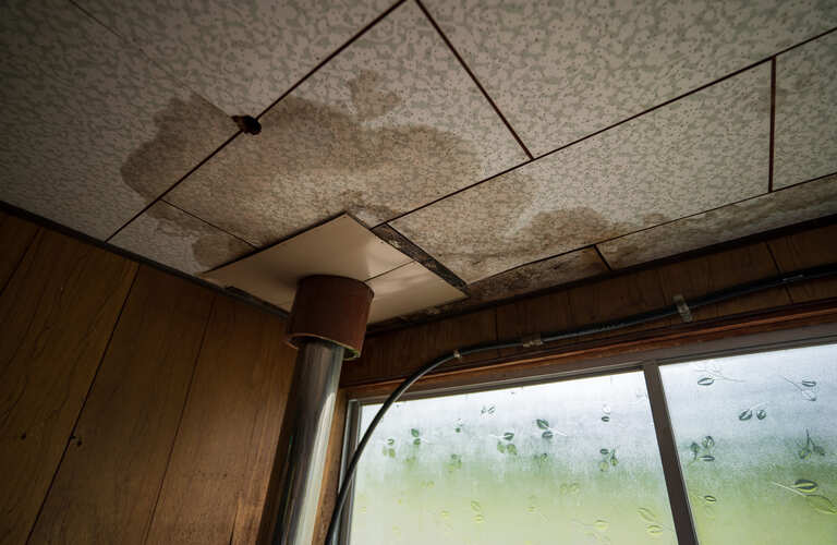 雨漏りしない強い家へと生まれ変わらせます | 大阪の外壁塗装なら株式会社イワタ塗装